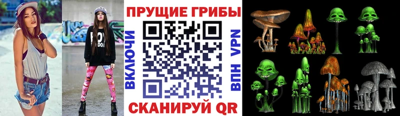 Галлюциногенные грибы Cubensis  кракен ССЫЛКА  Краснокаменск 
